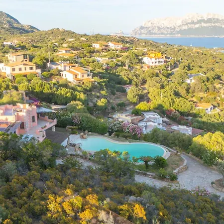 Graya * Porto Istana