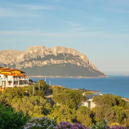 Graya Villa Porto Istana