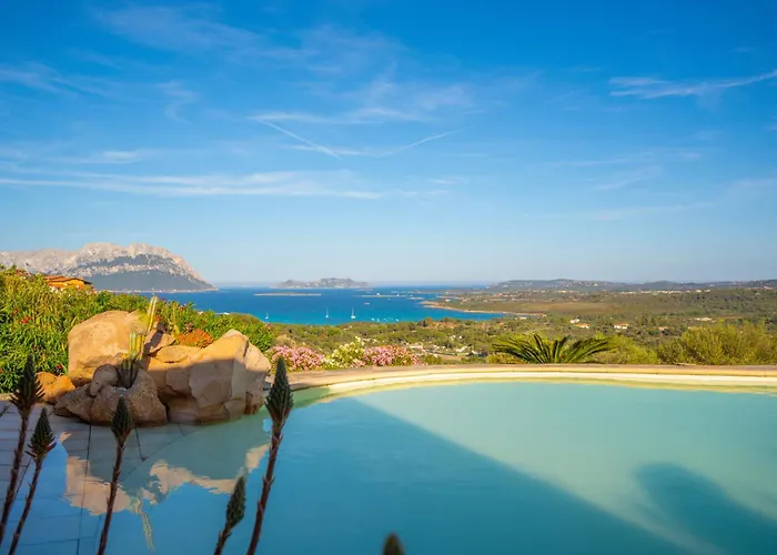 Graya * Porto Istana